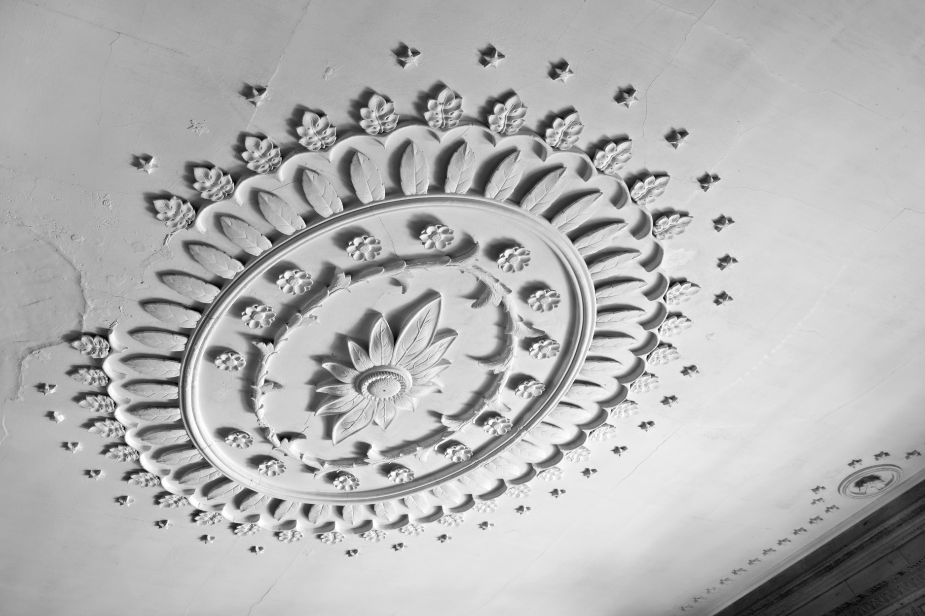 Plaster decoration on ceiling at Drayton Hall